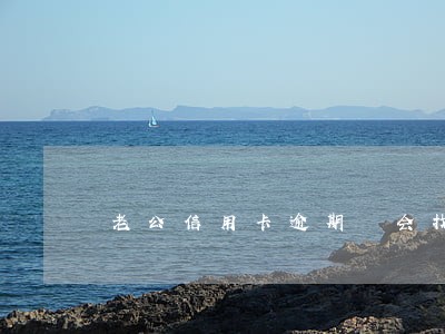 老公信用卡逾期 会找我 老公信用卡逾期 会找我